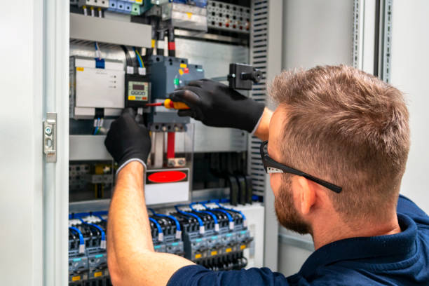 Best Electric Panel Repair  in Lake Mills, IA