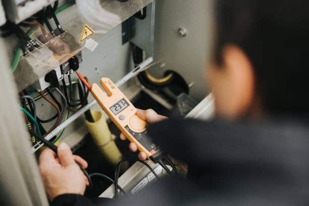 Best Electric Panel Repair  in Lake Mills, IA