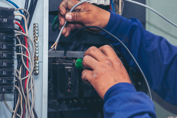 Best Affordable Electrician  in Lake Mills, IA